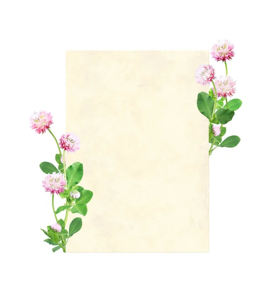 Vertikale Retro Karte Mit Wildem Rotklee Trifolium Pratense Blüten Vintage — Stockfoto