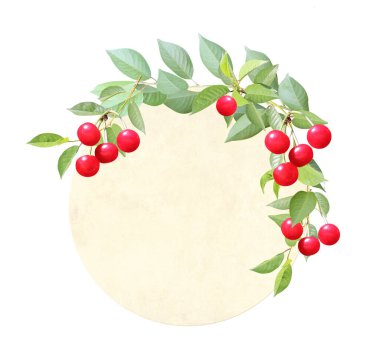 Kırmızı böğürtlenli kiraz ağacı dallı yuvarlak vintage kart. Kiraz dalları ve olgun böğürtlenli boş vintage kart. Beyaz arka planda izole edilmiş. Şablon oluşturun. Metin için alanı kopyala