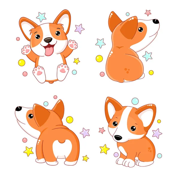 Bir kawaii soslu corgi.