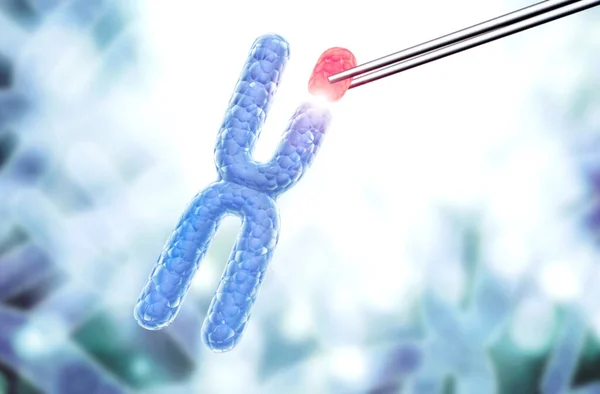X染色体断裂或替换 基因工程 转基因生物和基因操纵概念 基因工程领域的高科技 3D渲染 — 图库照片
