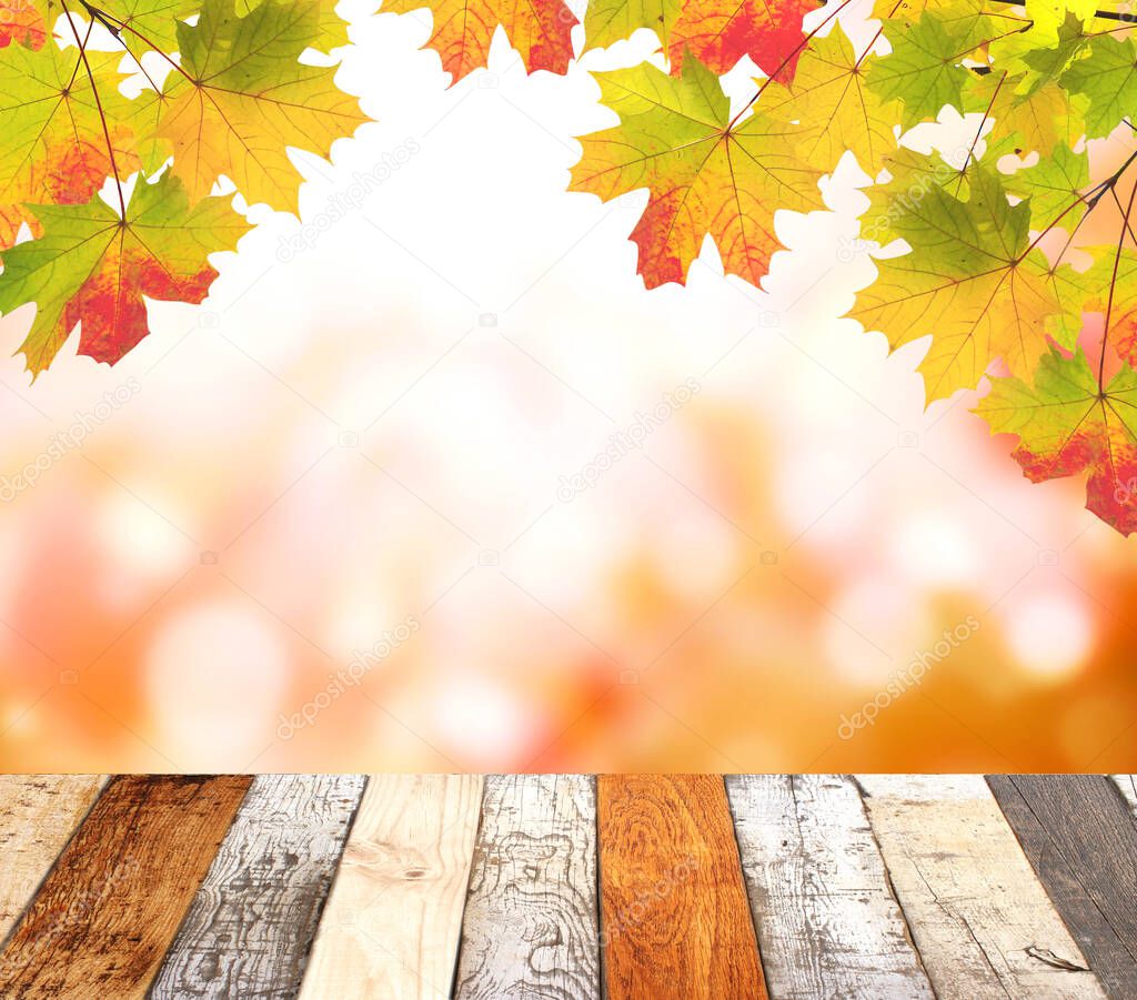 Old wooden desk with nature fall background. Vintage wooden table top and maple leaves on blurred autumn backdrop. Mock up template. Copy space for text