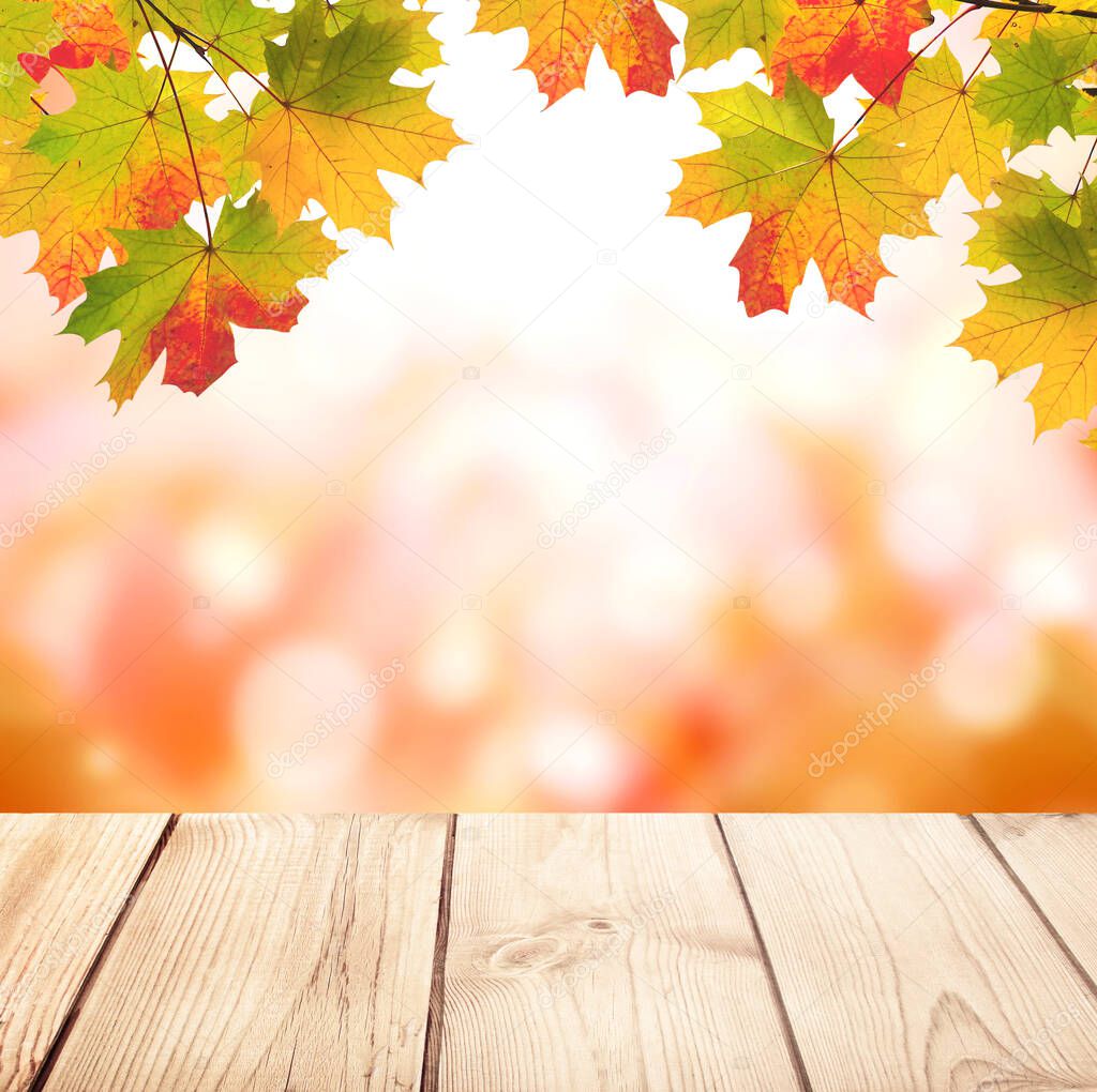 Old wooden desk with nature fall background. Vintage wooden table top and maple leaves on blurred autumn backdrop. Mock up template. Copy space for text