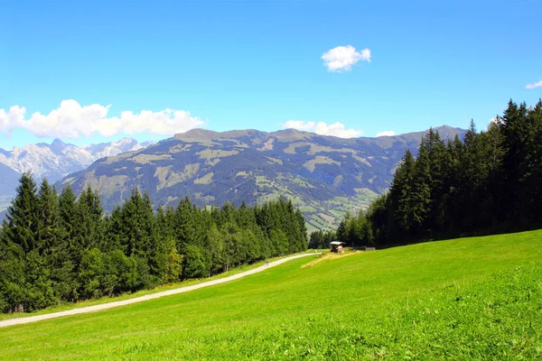 オーストリアのティロルにアルプスの山々 晴れた日には緑の芝生と毛皮の木とアルプスの牧歌的な山の景色をご覧ください 国立公園のヨーロッパの山の風景高トーアン ホーエ トーアン — ストック写真
