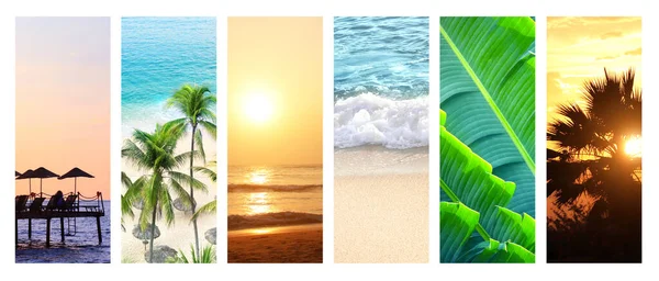 旅行和放松的概念 一套垂直横幅 有棕榈 沙滩和海浪 夕阳西下背景的雨伞和甲板椅子的轮廓 — 图库照片