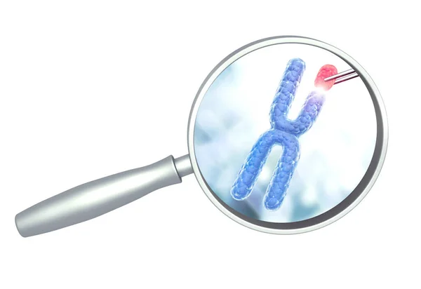 Kromosombrott Eller Ersätta Genetisk Ingenjörskonst Gmo Och Genmanipulation Högteknologisk Teknologi — Stockfoto