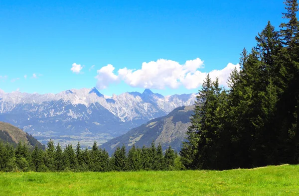オーストリアのティロルにアルプスの山々 晴れた日には緑の芝生と毛皮の木とアルプスの牧歌的な山の景色をご覧ください 国立公園のヨーロッパの山の風景高トーアン ホーエ トーアン — ストック写真