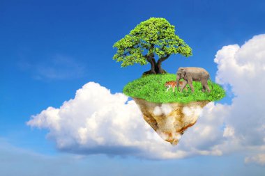 Doğa rezervi konsepti. Uçan Ada. Yeşil çimen, ağaç, vahşi hayvanlar, kaplan ve fil olan fantezi yüzen ada. Vahşi hayatı koru. Cennet konsepti. Mavi gökyüzü arka planında. 3d hazırlayıcı