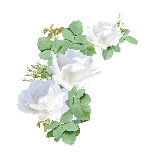 Borda Ângulo Com Ramo Rosa Com Flores Brancas Quadro Ângulo — Fotografia de Stock