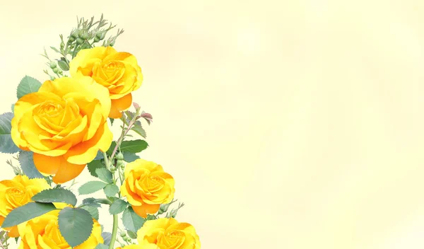 Розмитий Горизонтальний Фон Трояндовими Квітами Жовтого Кольору Копіювати Простір Вашого — стокове фото