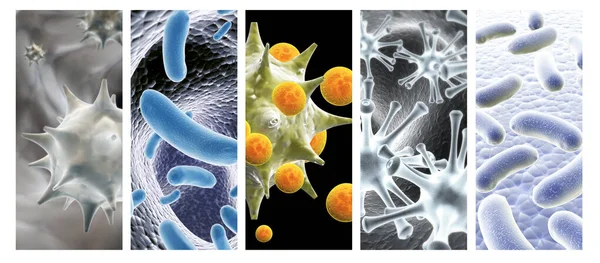 Сбор Горизонтальных Вертикальных Баннеров Патогенными Бактериями Вирусами Вирус Микроскопом Быстрое — стоковое фото