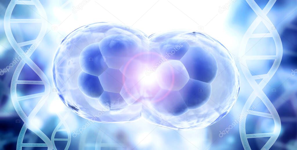 Cell Division. Stages of Mitosis. Cellular Therapy. Horizontal banner with Process Division Of Cell and DNA structure on blurred background of blue and gray colors. Copy space for text. 3d render