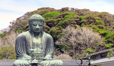 Büyük Buda heykeli, Kotoku-in tapınağı, Kamakura, Japonya. Bahar mevsimi