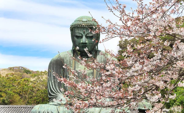 Wielki Budda Kwiaty Sakura Kotku Rozci Gaczu Japonia Skup Się — Zdjęcie stockowe