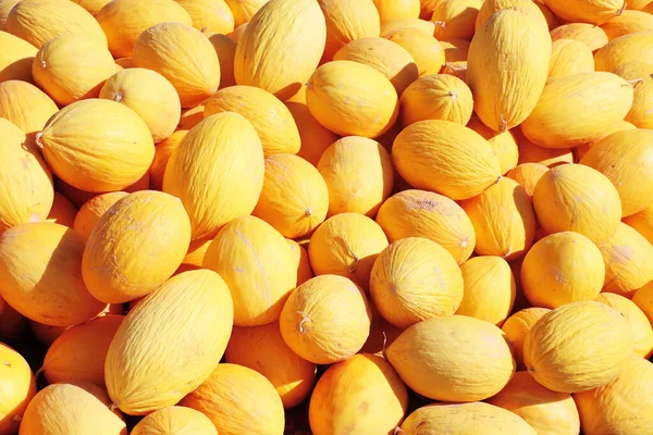 Reife Gelbe Melonen Auf Einem Bauernmarkt Iran — Stockfoto