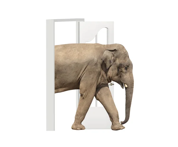 Slon Vejde Otevřených Dveří Příležitosti Příroda Ekologie Slon Kráčí Dveřmi — Stock fotografie