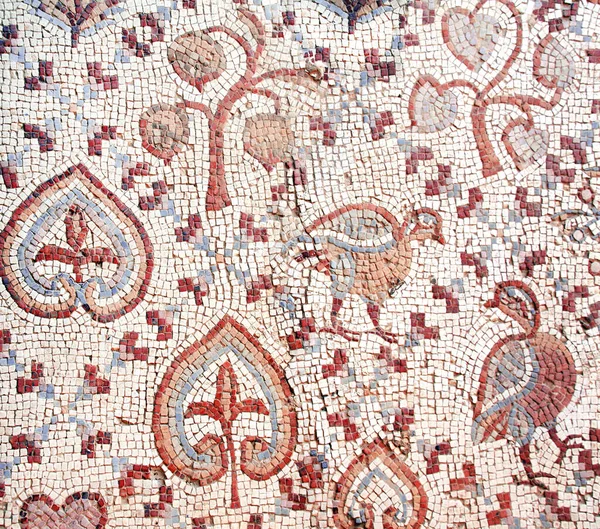 Ancient Byzantine Natural Stone Tile Mosaics Fig Trees Birds Madaba — Stock Photo, Image