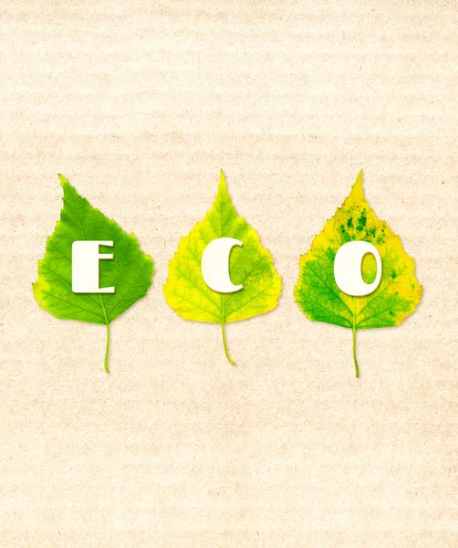 Green Birch Leaves Inscription Eco Made Cardboard Letters Vertical Banner — Φωτογραφία Αρχείου