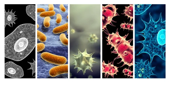 Coleção Banners Verticais Com Bactérias Patogênicas Vírus Renderização — Fotografia de Stock