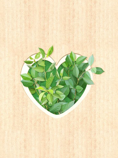Heart Shape Hole Green Leaves Cardboard Texture Vertical Banner Eco — Stock Photo, Image