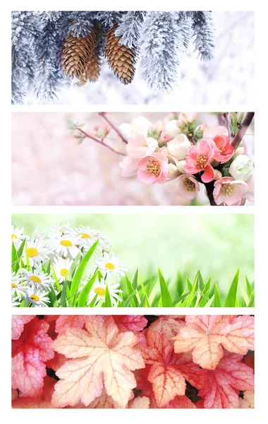 Four Seasons Year Set Horizontal Nature Banners Winter Spring Summer — Stock Photo, Image