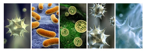 Sammlung Horizontaler Oder Vertikaler Banner Mit Pathogenen Bakterien Und Viren — Stockfoto