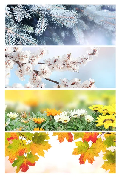 Four Seasons Year Set Horizontal Nature Banners Winter Spring Summer — Stock Photo, Image