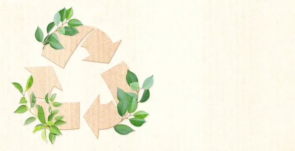 Ecology Zero Waste Concept Arrows Recycle Symbol Green Leaves Cardboard — Stock Photo, Image