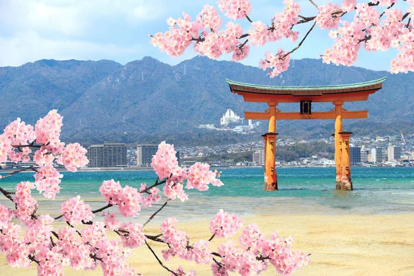 Torii 분홍색 사쿠라의 이쓰쿠시마 히로시마의 미야지마 유네스코 세계유산 — 스톡 사진