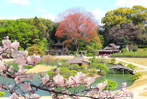 Ponte Decorativa Pavilhão Lagoa Com Pinho Jardim Koishikawa Korakuen Okayama — Fotografia de Stock