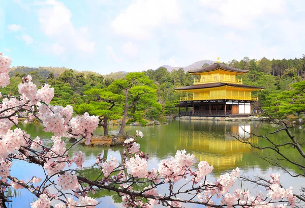 Golden Pavilion Kinkaku Temple Blooming Sakura Rokuon Complex Deer Garden — 스톡 사진