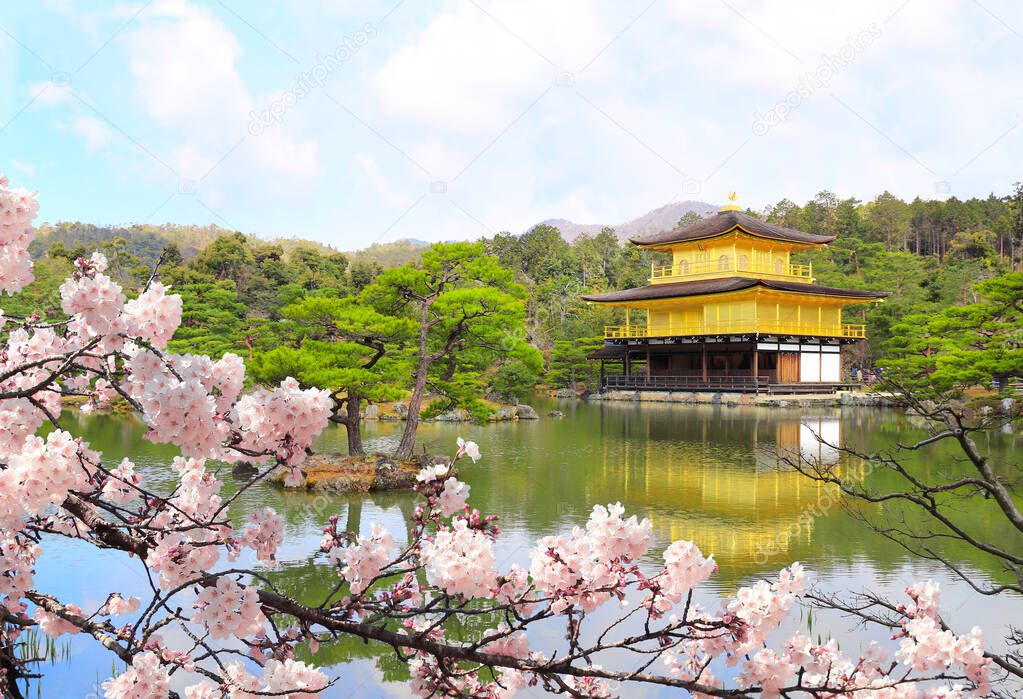 The Golden Pavilion (Kinkaku-ji Temple) and blooming sakura in Rokuon-ji complex (Deer Garden Temple), Kyoto, Japan. UNESCO world heritage site. Japanese hanami festival when people enjoy sakura blossom. Cherry blossoming season in Asia
