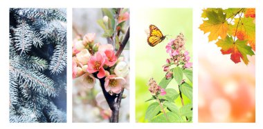 Yılın dört mevsimi. Kış, bahar, yaz ve sonbahar manzaralı dikey doğa afişleri. Metin için alanı kopyala