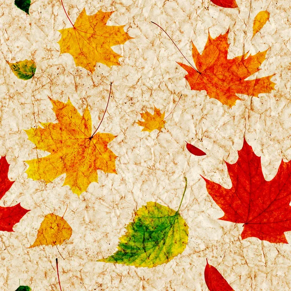 Seamless grunge background with flying autumn leaves — Stock Photo, Image