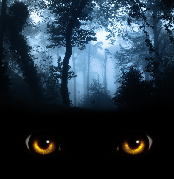 Взгляд из темноты
