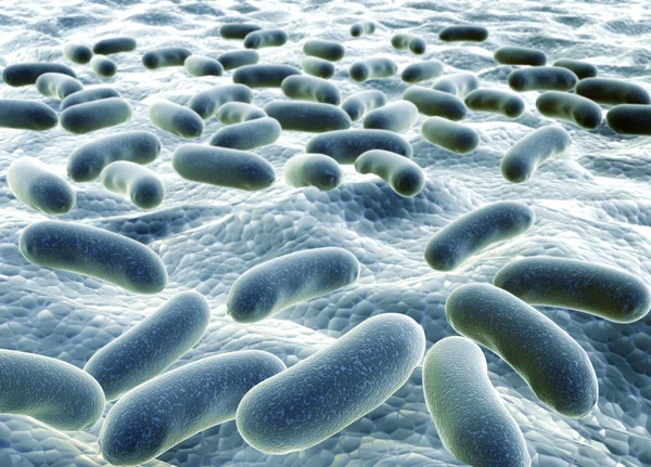 Bacteries — Stock Photo, Image