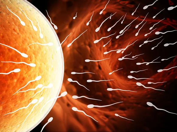 Espermatozoides, flotando en los óvulos — Foto de Stock