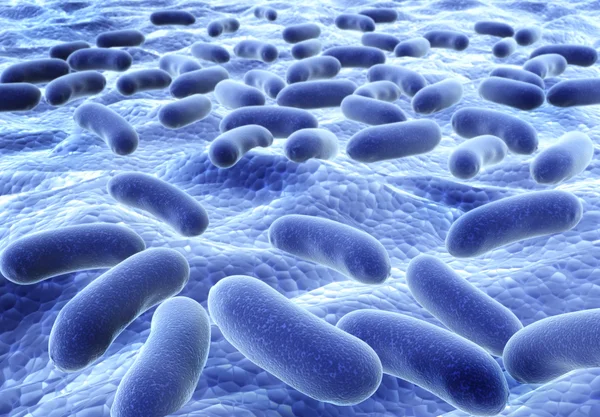 Bacteries — Stock Photo, Image