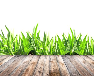 Yaz çim ve eski ahşap plakalar