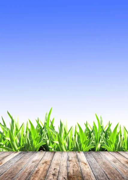 Summer grass and old wooden planks — Stock Photo, Image