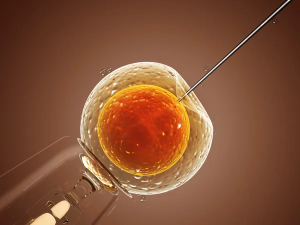 Artificial insemination — Stock Photo, Image