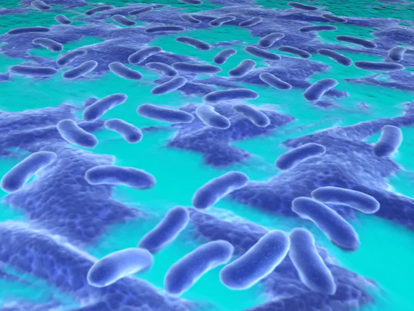 Бактерии в жидкости — стоковое фото