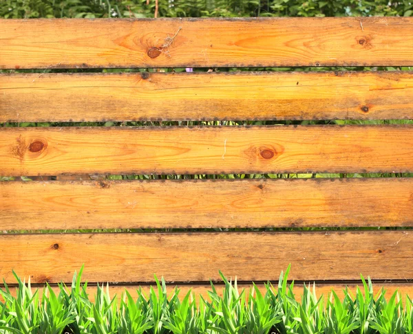 Erba estiva e vecchie assi di legno — Foto Stock