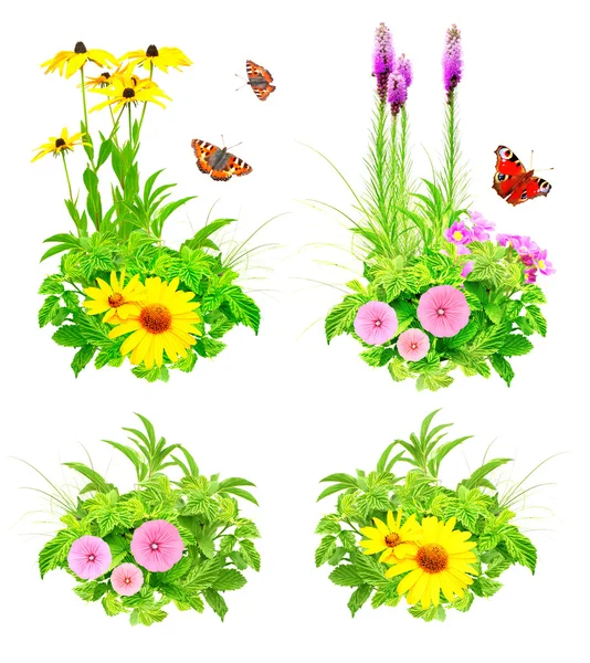 Set of summer flowers — Stock Photo, Image