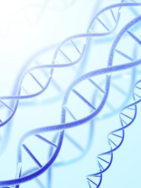DNA structure clipart