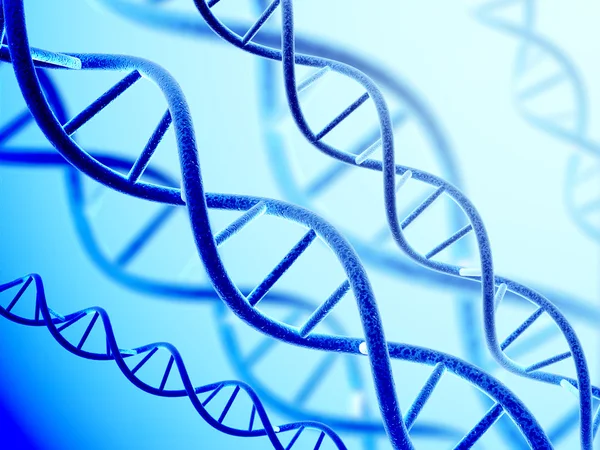 Estructura del ADN —  Fotos de Stock
