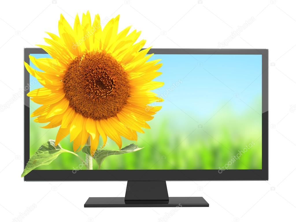 Modern TV with 3d effect on screen