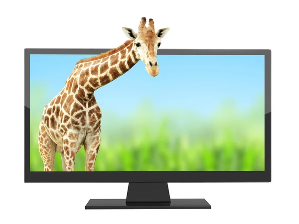 Moderner Fernseher mit 3D-Effekt auf dem Bildschirm — Stockfoto