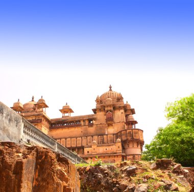 Sarayda ceylan, Madhya Pradesh eyaletinde, Hindistan
