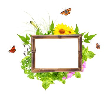 Bamboo frame with summer flowers, green leaves and insect clipart