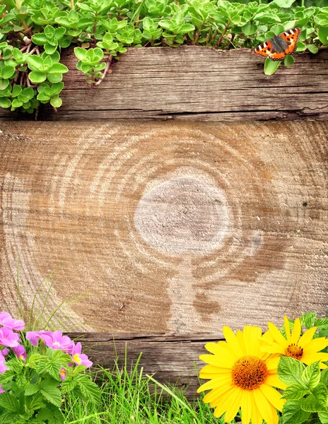 Fondo de verano con tablón de madera vieja — Foto de Stock